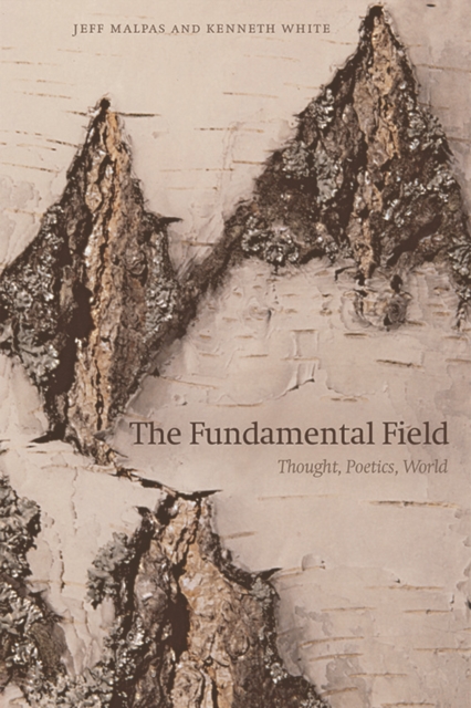 The Fundamental Field : Thought, Poetics, World, Hardback Book