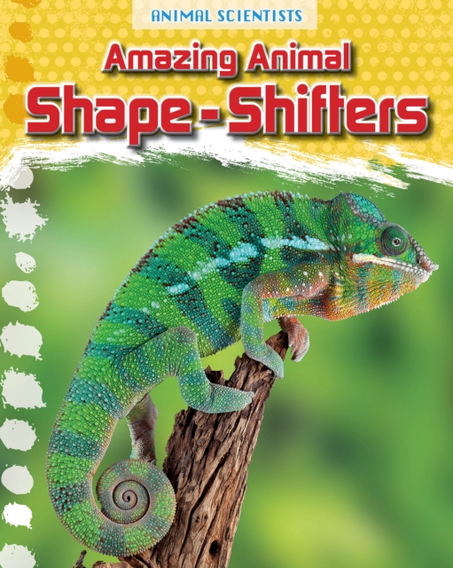Amazing Animal Shape-Shifters, Hardback Book