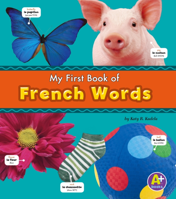 French Words, Hardback Book
