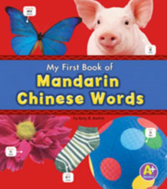 Mandarin Chinese Words, Paperback / softback Book