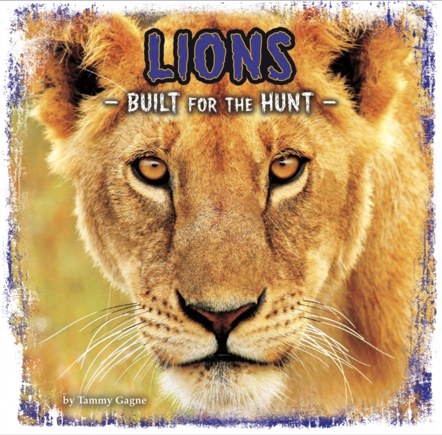 Lions : Built for the Hunt, Hardback Book