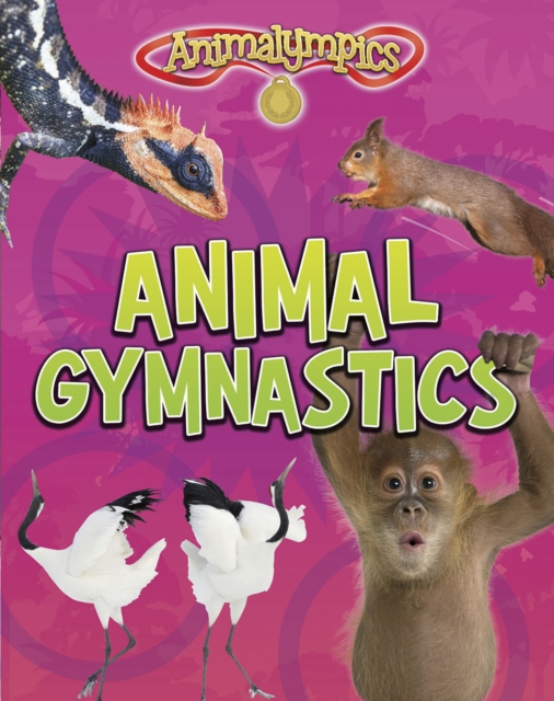 Animal Gymnastics, Hardback Book