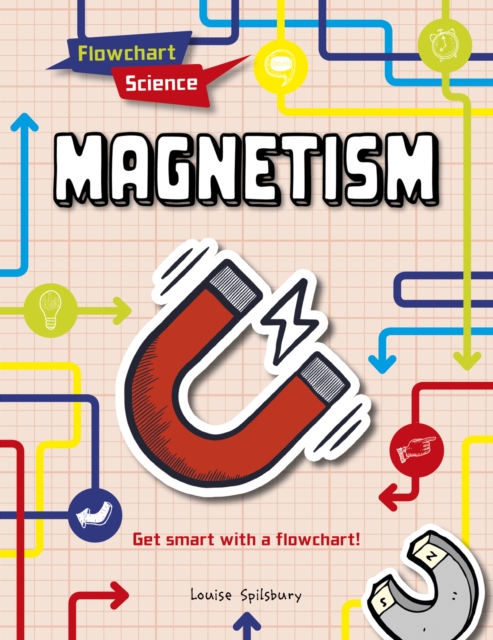 Magnetism, Hardback Book