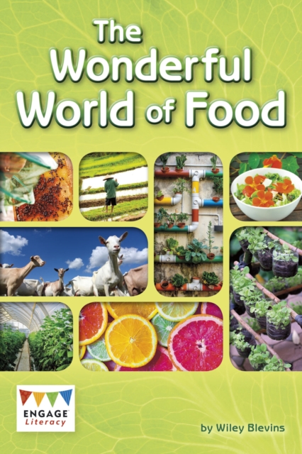 The Wonderful World of Food, PDF eBook