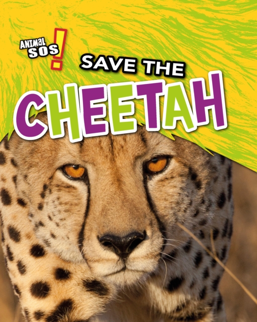 Save the Cheetah, Hardback Book