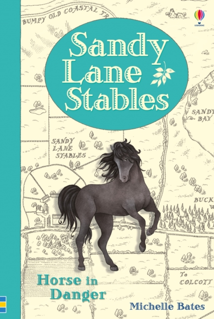Sandy Lane Stables : Horse in Danger, Hardback Book