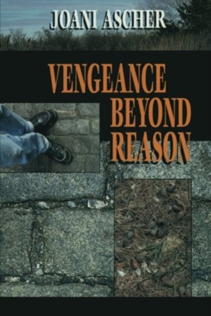 Vengeance Beyond Reason, Paperback / softback Book