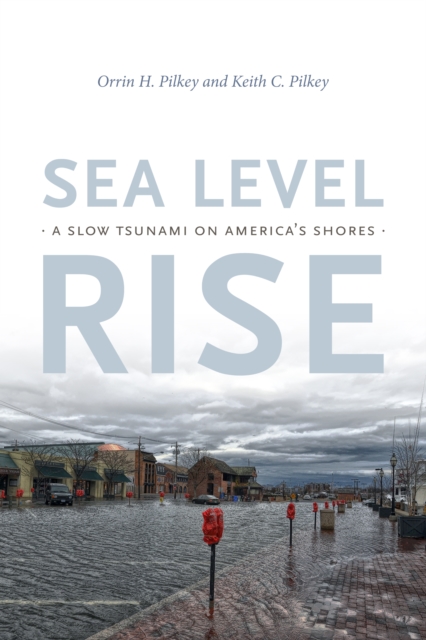 Sea Level Rise : A Slow Tsunami on America's Shores, PDF eBook