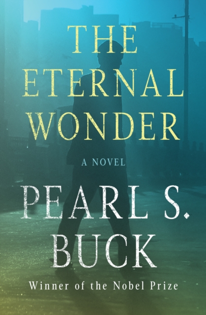 The Eternal Wonder : A Novel, PDF eBook