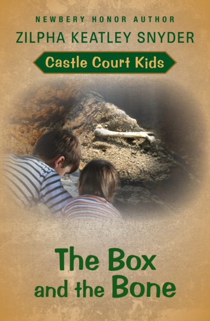 The Box and the Bone, EPUB eBook