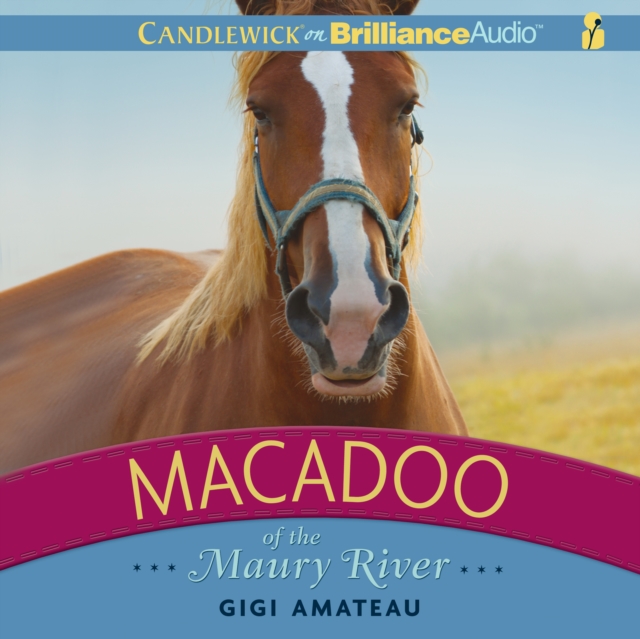 Macadoo of the Maury River, eAudiobook MP3 eaudioBook
