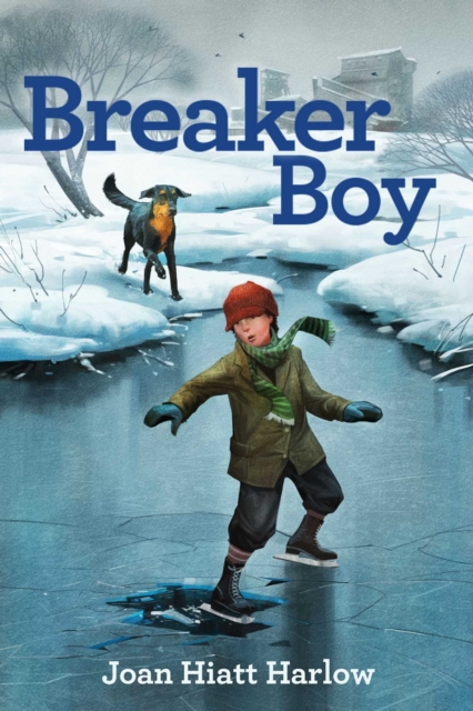 Breaker Boy, EPUB eBook