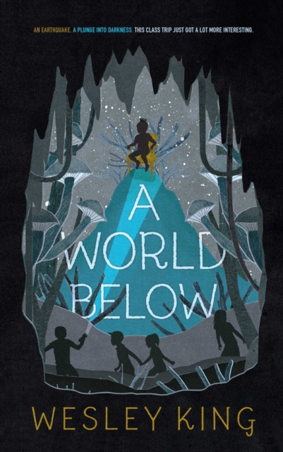 A World Below, Paperback / softback Book