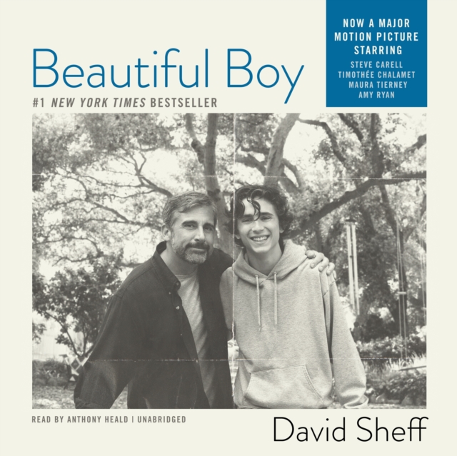 Beautiful Boy, eAudiobook MP3 eaudioBook