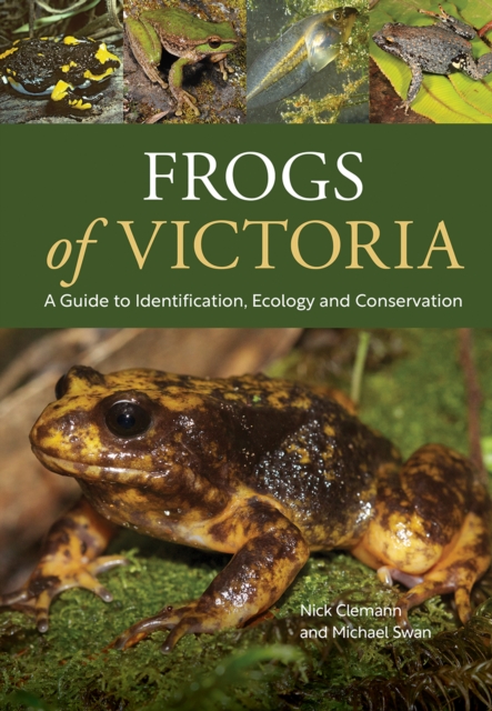 Frogs of Victoria : A Guide to Identification, Ecology and Conservation, EPUB eBook