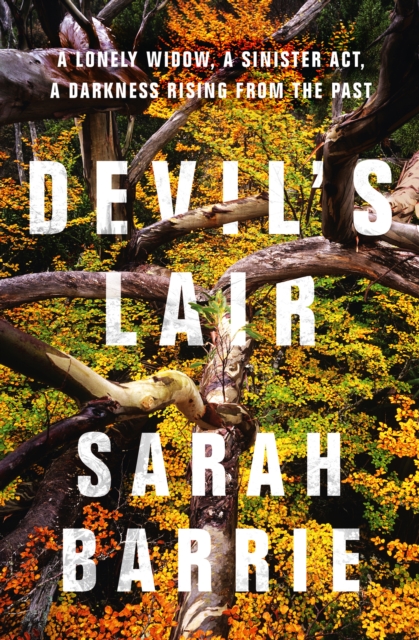 Devil's Lair, EPUB eBook