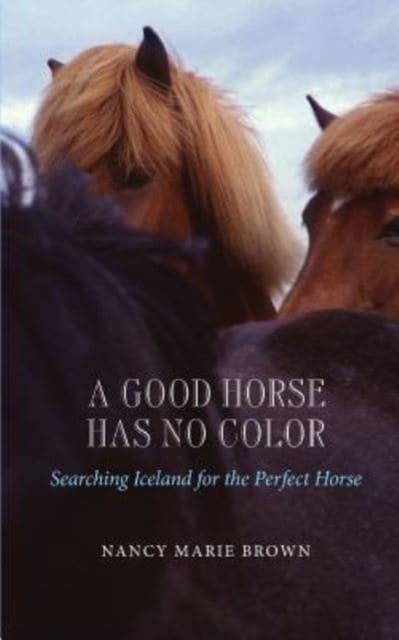 A Good Horse Has No Color : Searching Iceland for the Perfect Horse, Paperback / softback Book