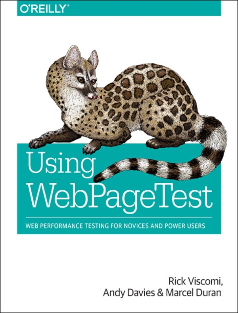 Using WebPageTest, Paperback / softback Book