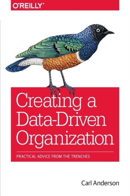 Creating a Data-Driven Organization, Paperback / softback Book