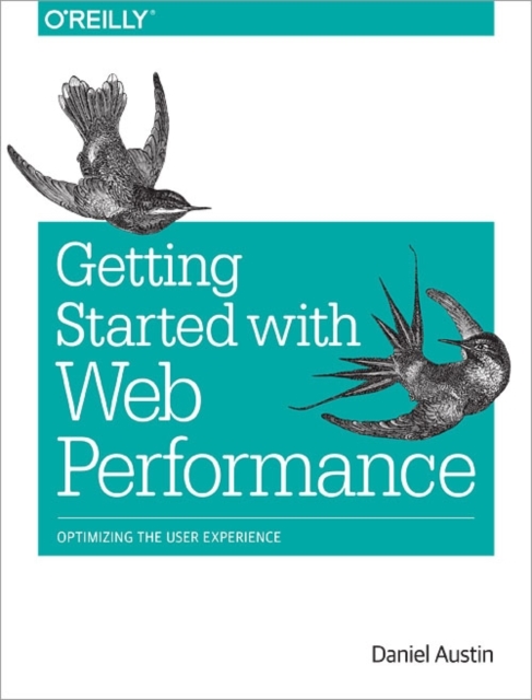 Web Performance - The Definitive Guide, Paperback Book
