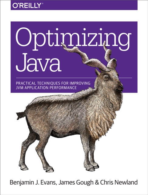 Optimizing Java : Practical Techniques for Improving JVM Application Performance, EPUB eBook