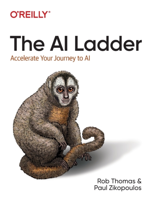The AI Ladder : Accelerate your journey to AI, Paperback / softback Book