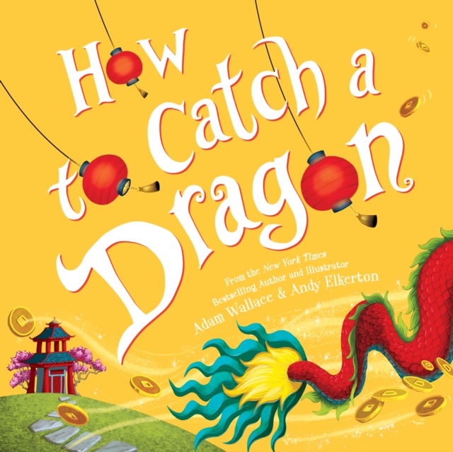 How to Catch a Dragon, Hardback Book