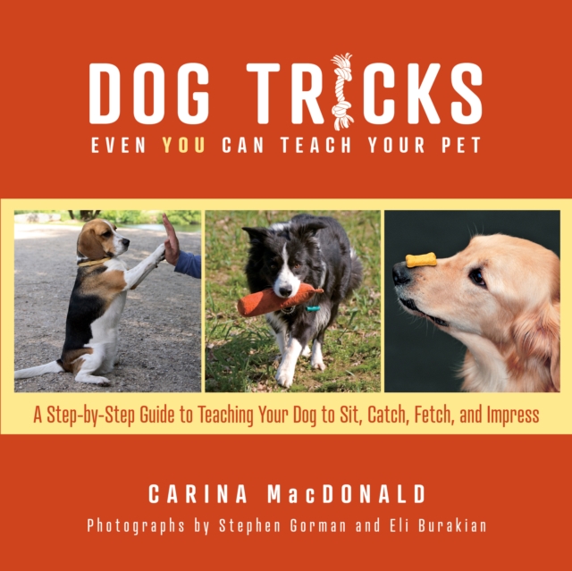 Dog Tricks Even You Can Teach Your Pet : A Step-by-Step Guide to Teaching Your Pet to Sit, Catch, Fetch, and Impress, Paperback / softback Book