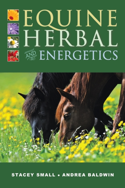 Equine Herbal and Energetics, Paperback / softback Book