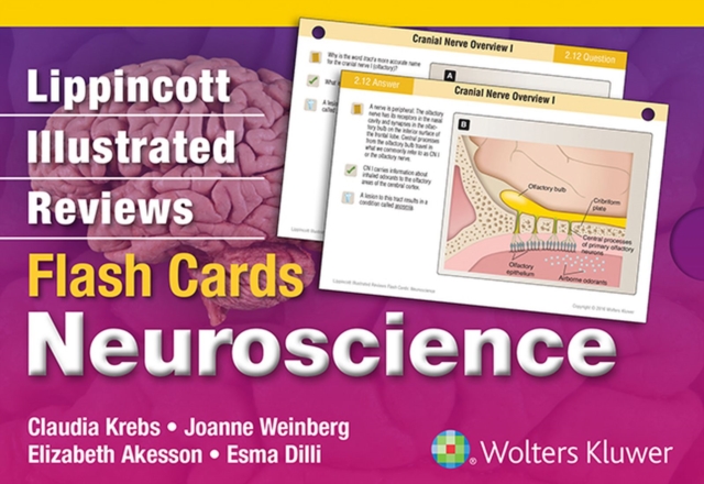Lippincott Illustrated Reviews Flash Cards: Neuroscience, PDF eBook