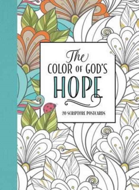 The Color of God's Hope, Paperback / softback Book