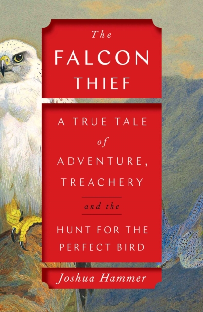 The Falcon Thief : A True Tale of Adventure, Treachery, and the Hunt for the Perfect Bird, EPUB eBook