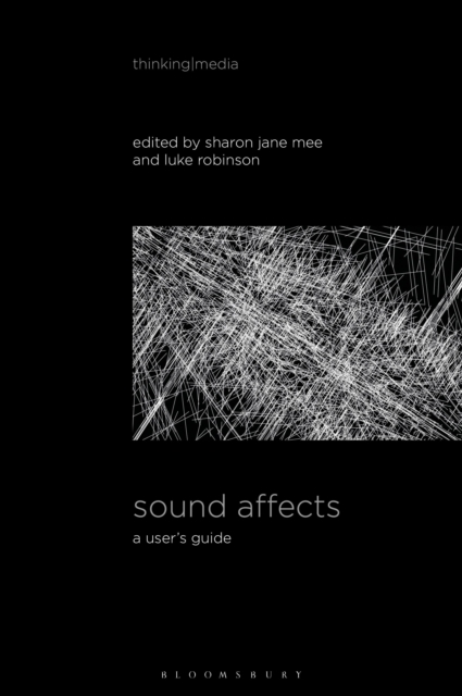 Sound Affects : A User's Guide, Paperback / softback Book