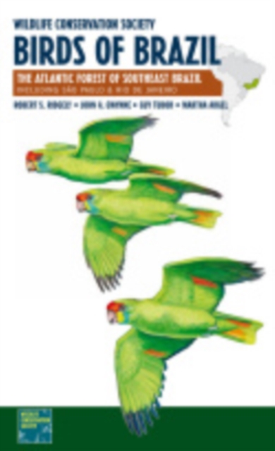 Wildlife Conservation Society Birds of Brazil : The Atlantic Forest of Southeast Brazil, including Sao Paulo and Rio de Janeiro, Paperback / softback Book