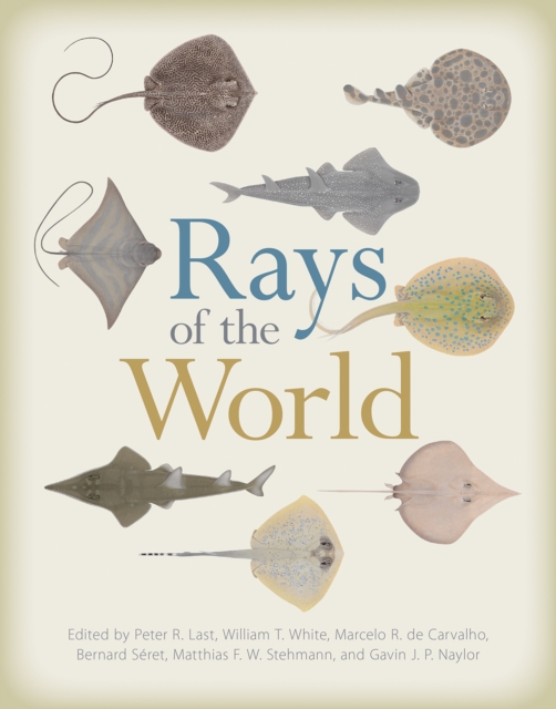 Rays of the World, Hardback Book