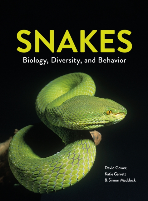 Snakes : Biology, Diversity, and Behavior, Paperback / softback Book