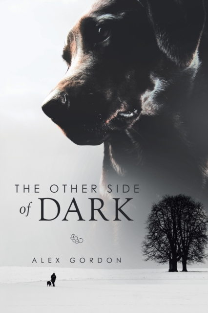 The Other Side of Dark, Paperback / softback Book