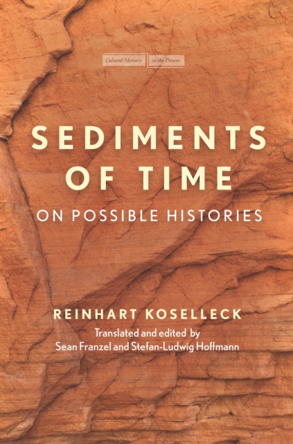 Sediments of Time : On Possible Histories, Hardback Book