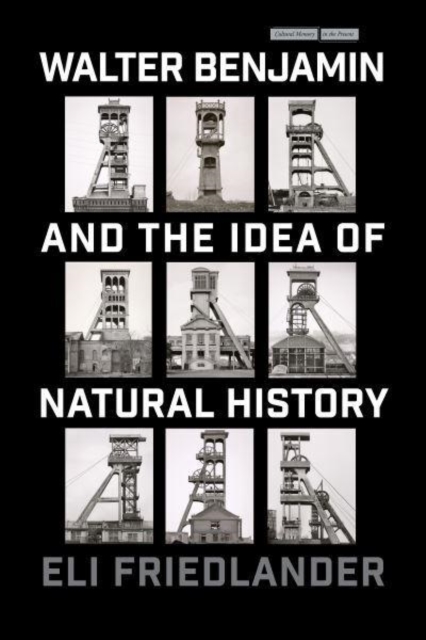 Walter Benjamin and the Idea of Natural History, Hardback Book