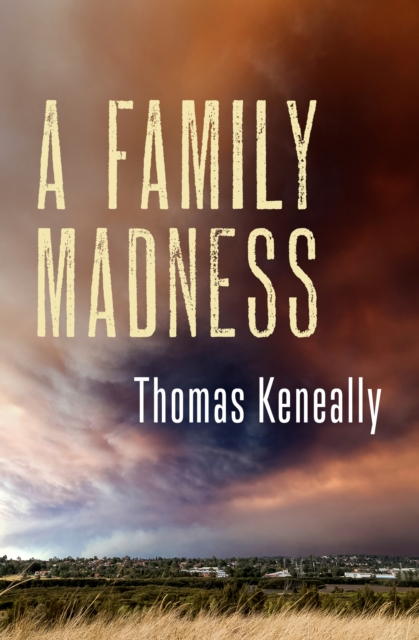 A Family Madness, EPUB eBook