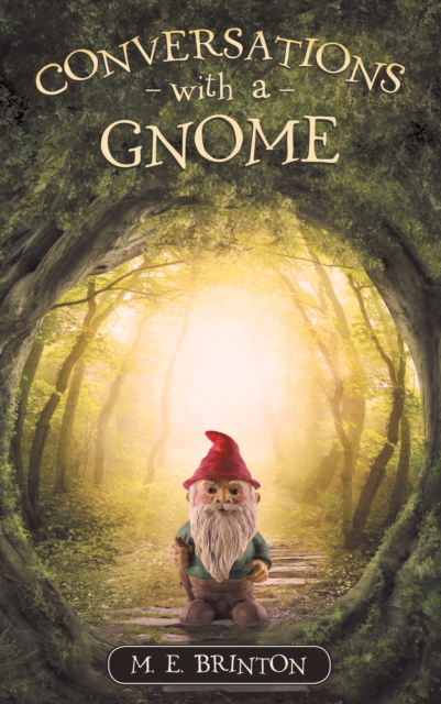 Conversations with a Gnome, EPUB eBook