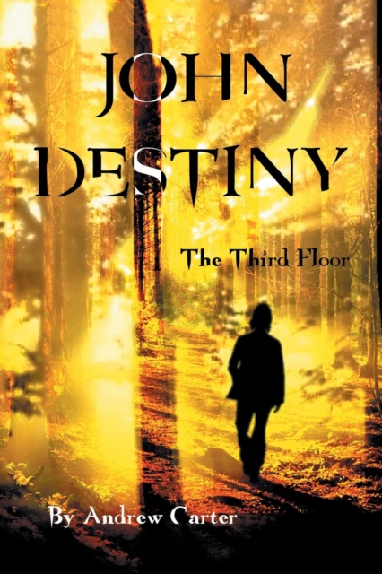 John Destiny : The Third Floor, Paperback / softback Book