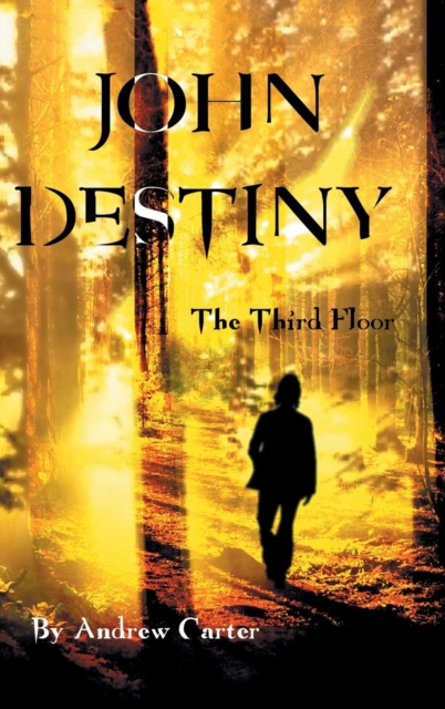 John Destiny : The Third Floor, Hardback Book