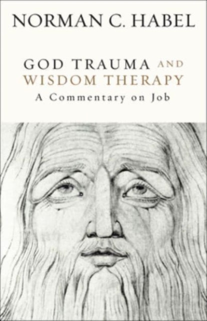 God Trauma and Wisdom Therapy : A Commentary on Job, Hardback Book