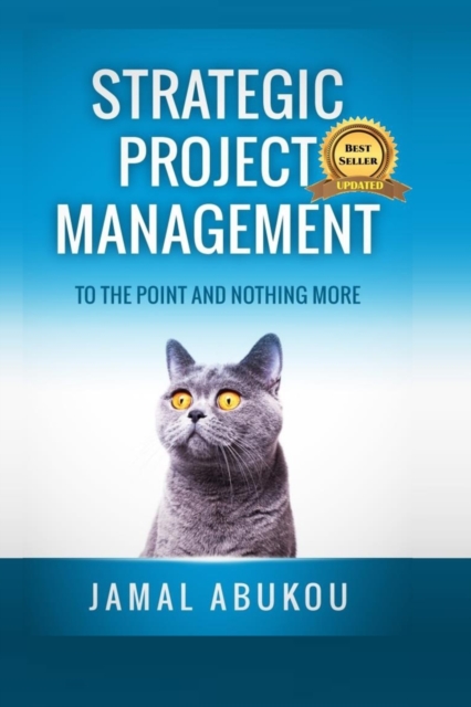 Strategic Project Management : To The Point And Nothing More, Paperback / softback Book