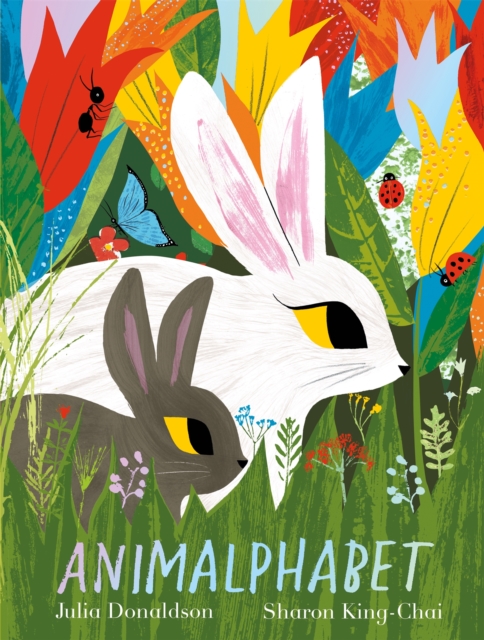 Animalphabet : A lift-the-flap ABC book from the author of The Gruffalo, Paperback / softback Book
