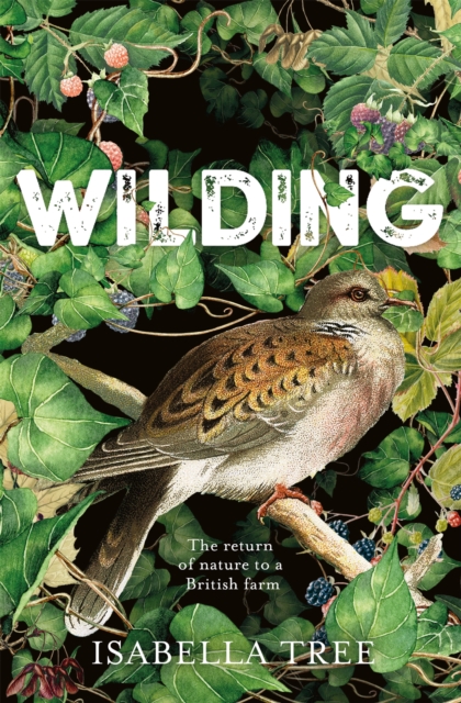 Wilding : The Return of Nature to a British Farm, Hardback Book