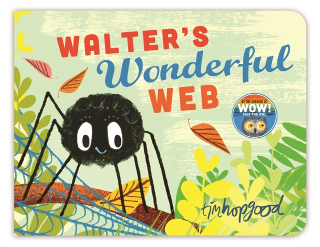 Whoosh! Walter's Wonderful Web : A First Book of Shapes, EPUB eBook