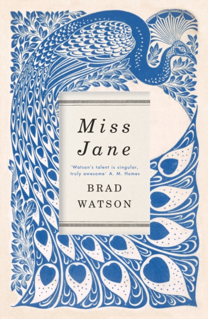 Miss Jane, Hardback Book