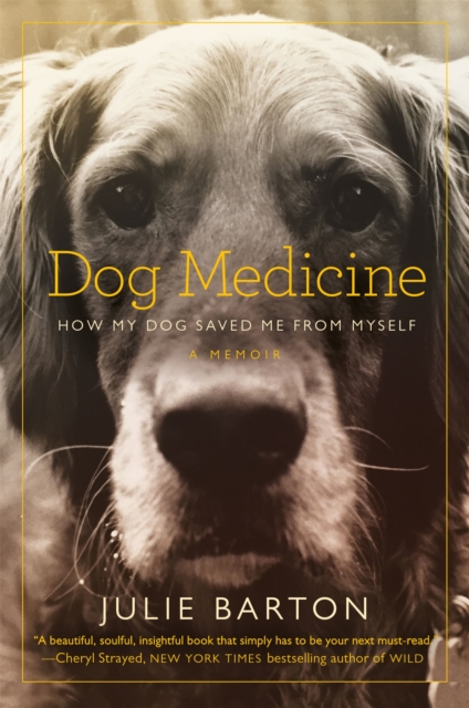 Dog Medicine : How My Dog Saved Me From Myself, Paperback / softback Book
